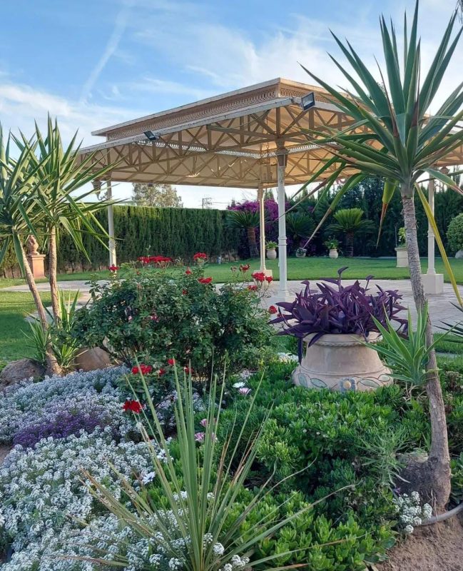 82801904 3601 47e7 b88c bd1f0b219c5d