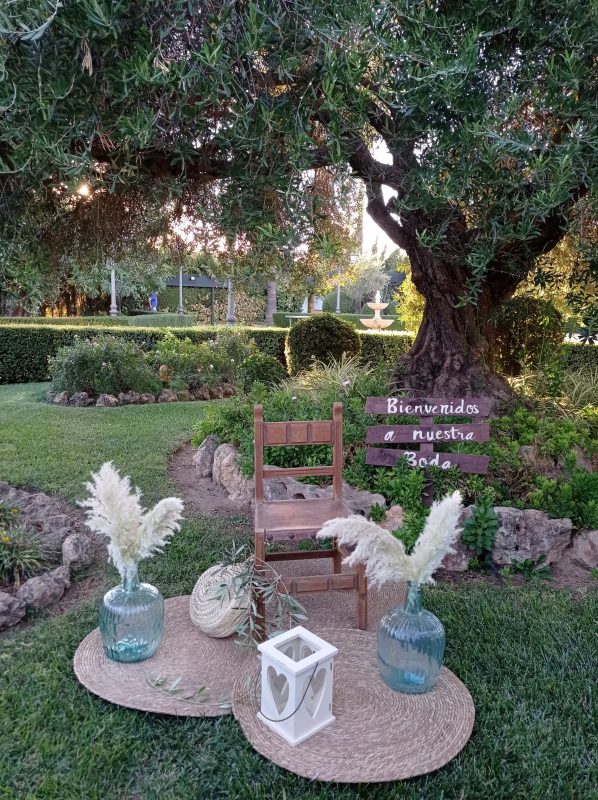 c53562f0 29af 4eba a26e bc7fb36c751a