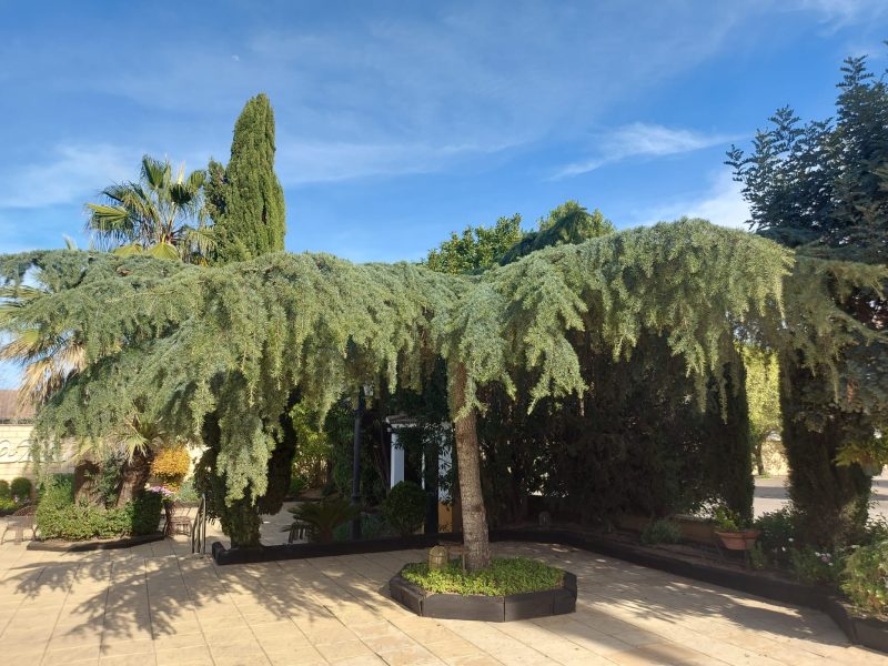 f045299f 5281 4111 a978 40d6c259d170