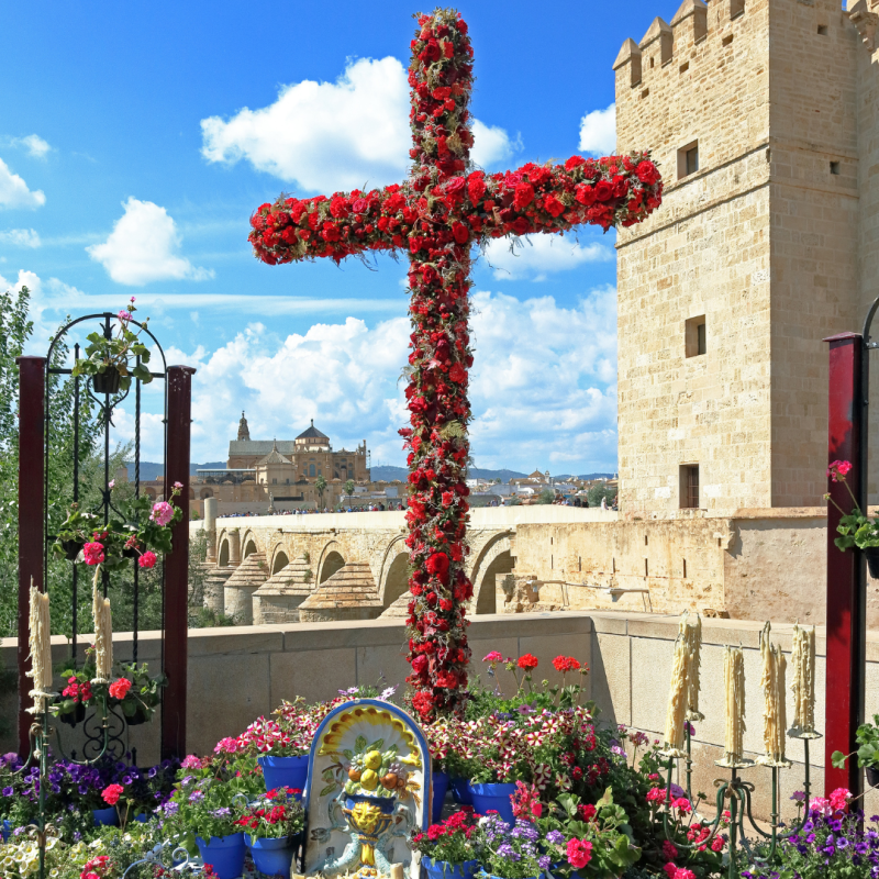 Diseno sin titulo 18