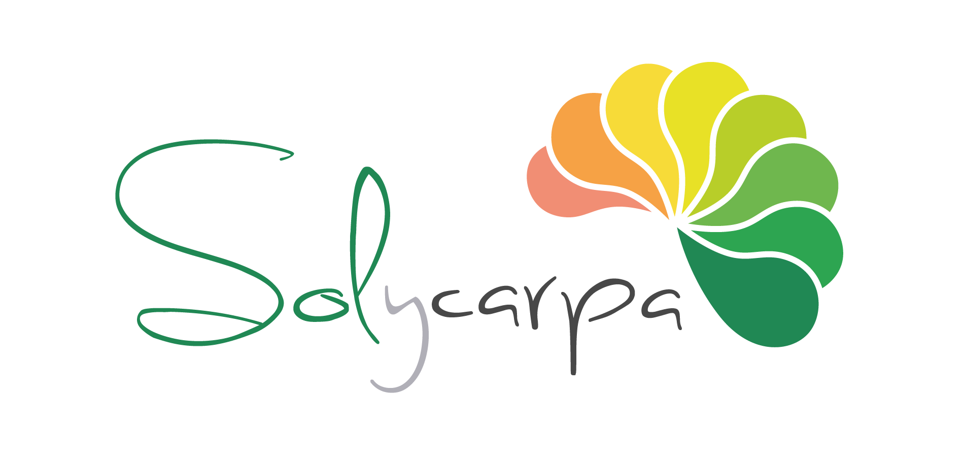 logo solycarpa